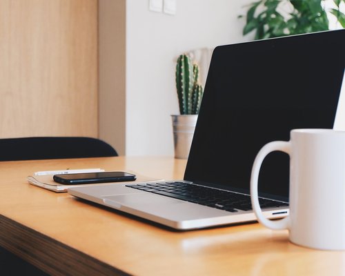 Person hands using a sleek modern laptop on a wooden desk with a green plant nearby